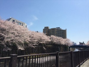 客層良しの働きやすい新店が赤坂エリアにオープン★