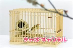 キャバクラの寮への不安