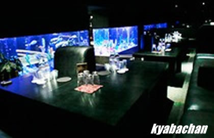 GROTTA AZZURRA,グロッタアズーラの店舗画像 2