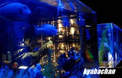 GROTTA AZZURRA,グロッタアズーラの店舗画像 4