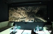FARFALLA,ファルファーラの店舗画像 9