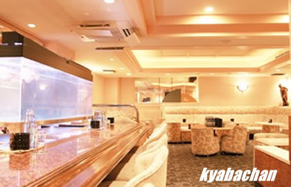 Piano and Bar Tiena,ティーナの店舗画像 2