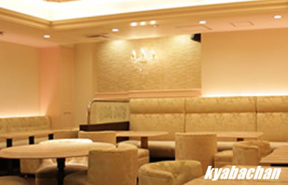 Piano and Bar Tiena,ティーナの店舗画像 4