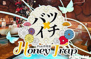 Honey Trap,ハニートラップの店舗画像 8
